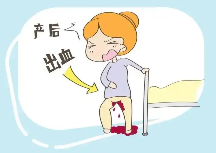 微信图片_20241209114056.jpg