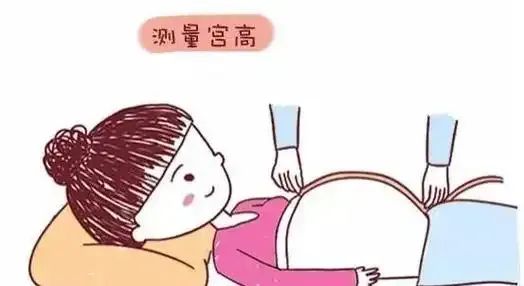 微信图片_20241223105723.jpg