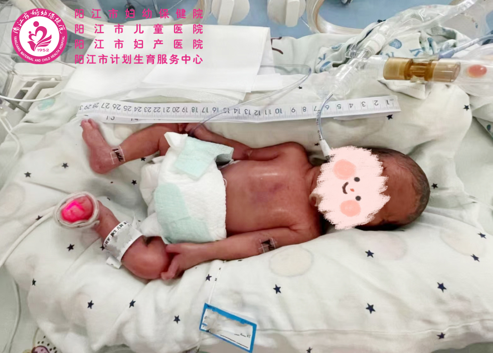 微信图片_20241230084946.png