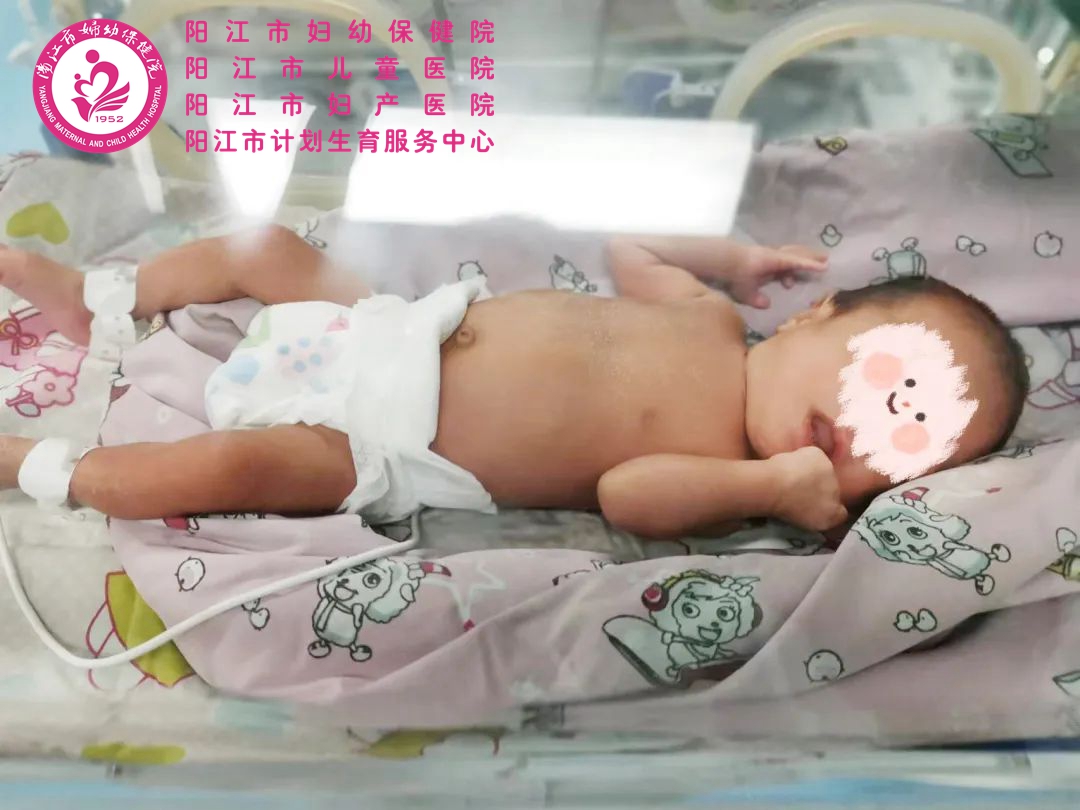 微信图片_20241230085003.jpg