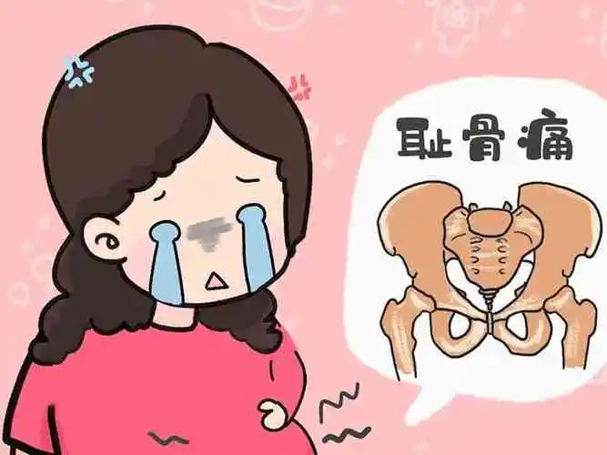 微信图片_20240322091502.jpg