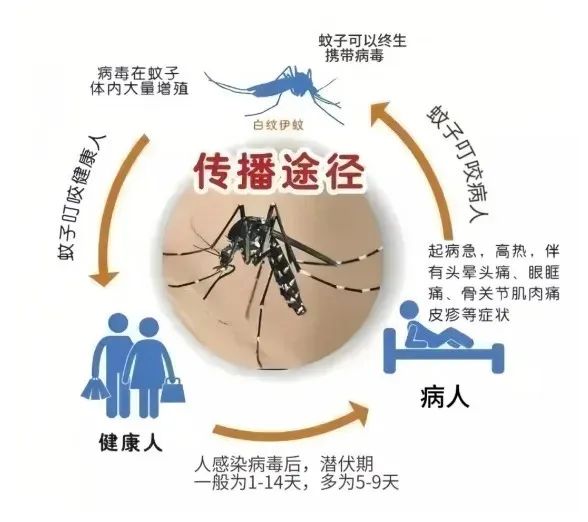 微信图片_20240422094521.jpg