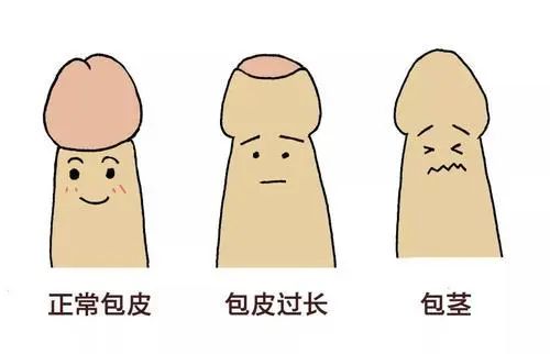 微信图片_20230720103005.jpg