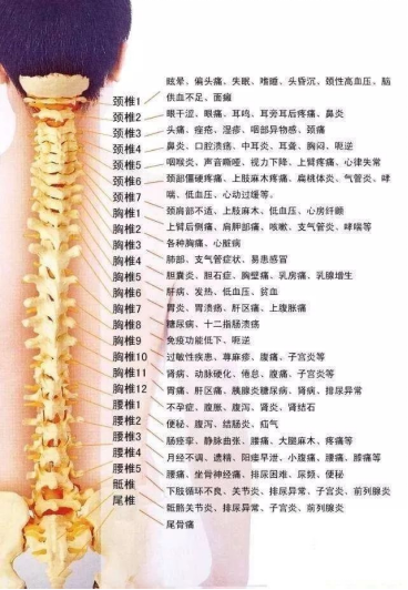 微信图片_20240708091048.png