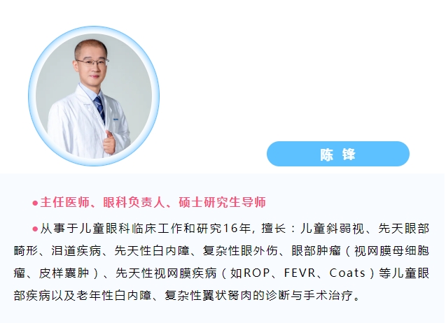 陈锋_20250108082853.jpg