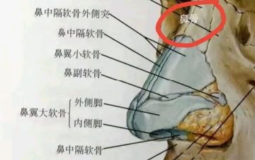 微信图片_20250218102504.png