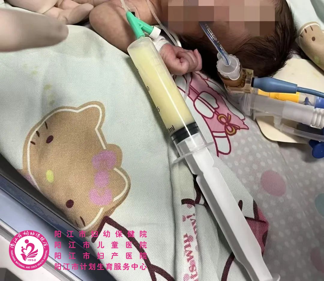 微信图片_20250219095413.jpg