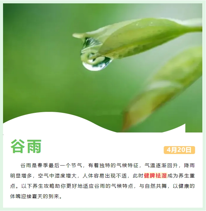 谷雨_20250507215543.png