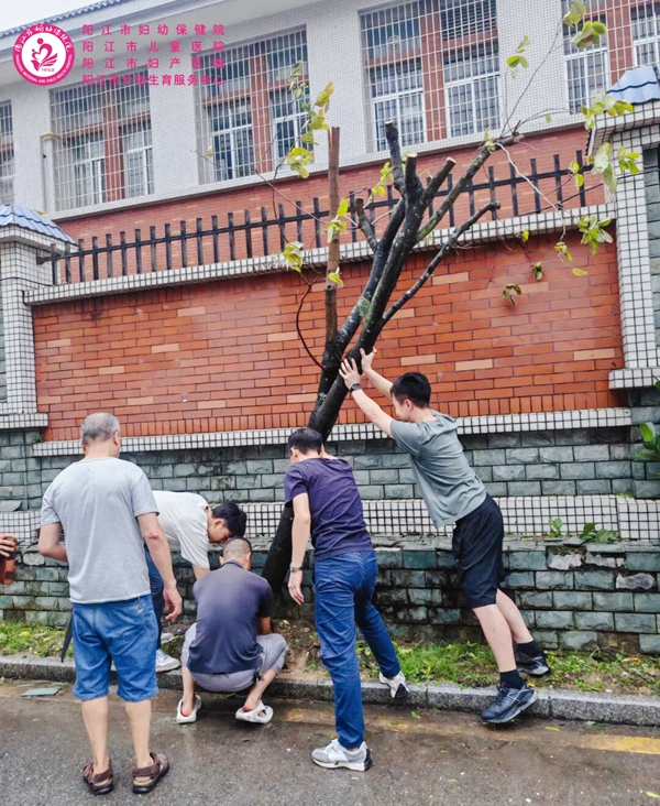 灾后清障碍i34789347.jpg 灾后清障碍i34789347.jpg