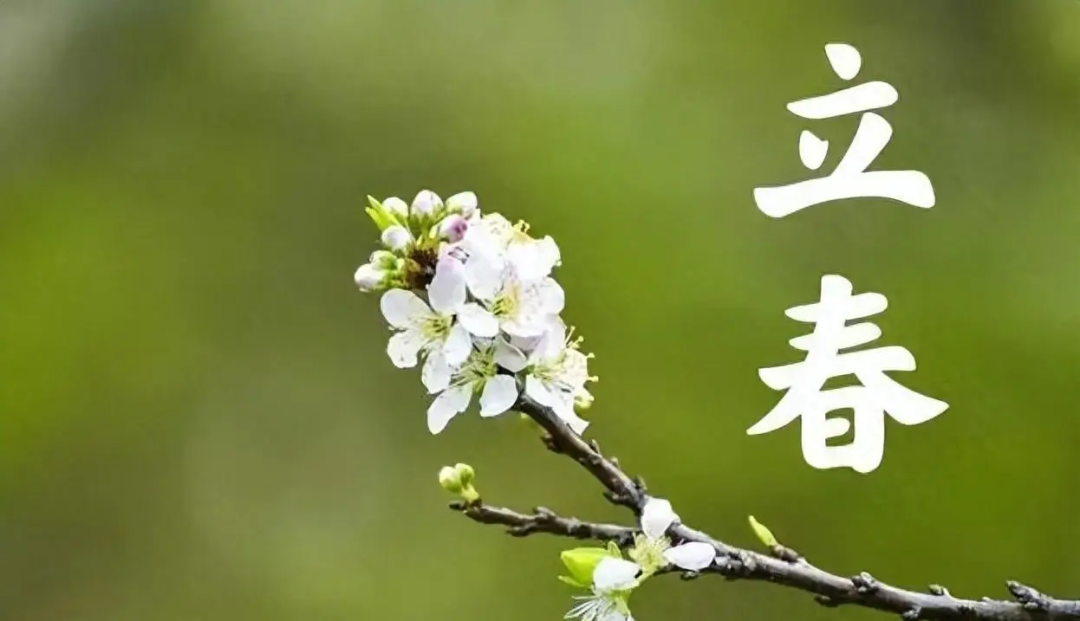 立春.png 立春.png